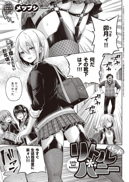 【全編フル漫画】k568agotp02744 | リトルバッドバニー | メツブシ(美乳)