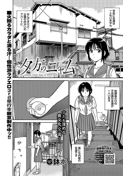 【全編フル漫画】b472abnen03301 | 夕方のニャム | 鉢本 コミックバベル編集部(単話)