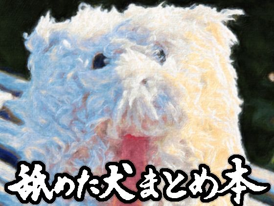 【全編フル漫画】d_617989 | 舐めた犬まとめ本 | 舐めた犬(日常・生活)