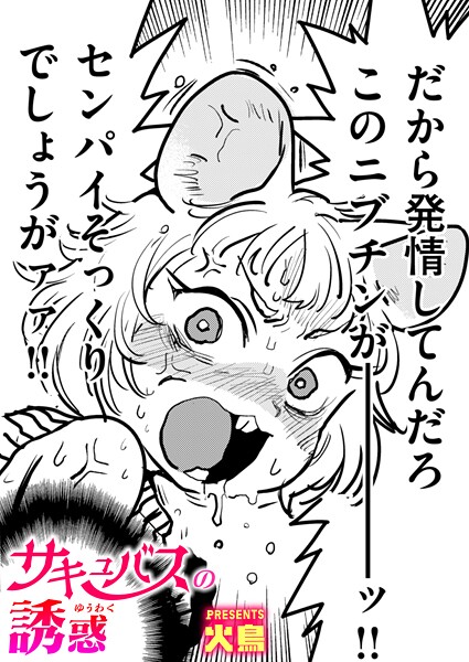 【全編フル漫画】b915awnmg03719 | サキュバスの誘惑 | 火鳥【ファンタジー】(ファンタジー)